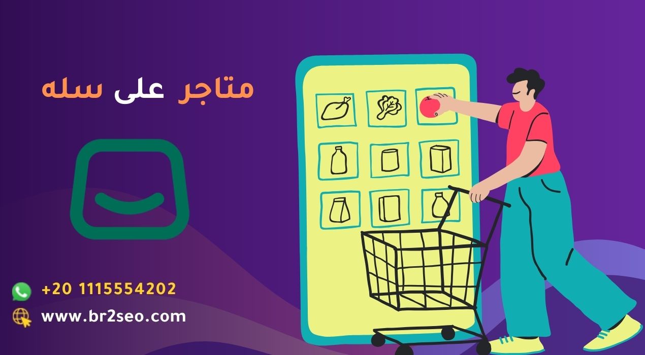 مشاريع متاجر على منصة سله