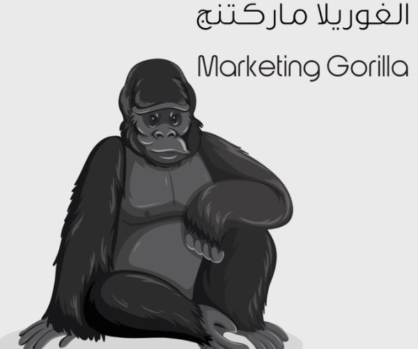 استراتيجيات تسويق