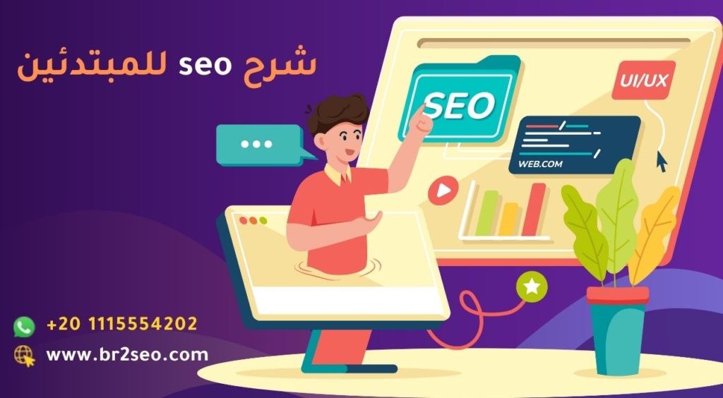 شرح seo للمبتدئين