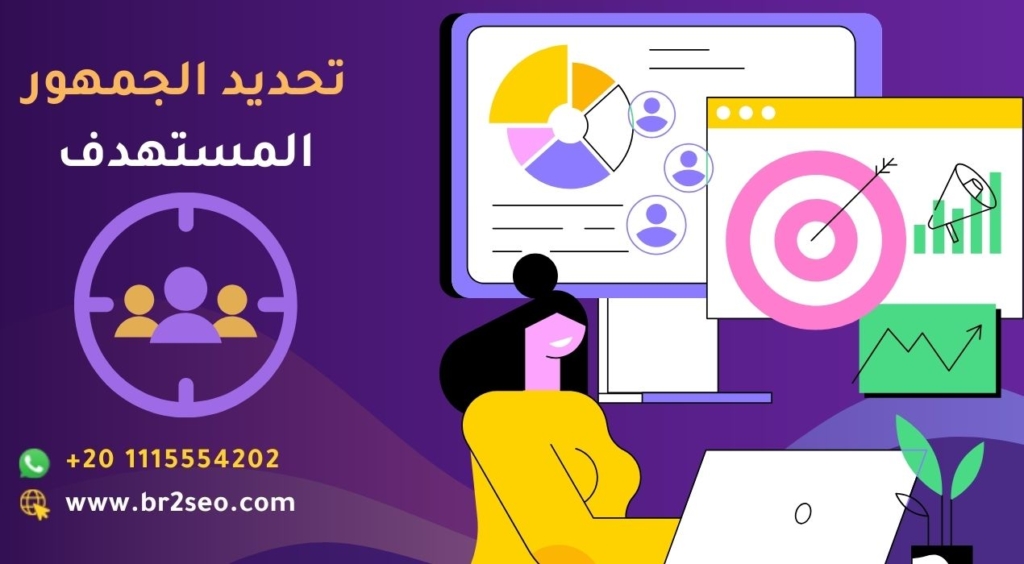 تحديد الجمهور المستهدف