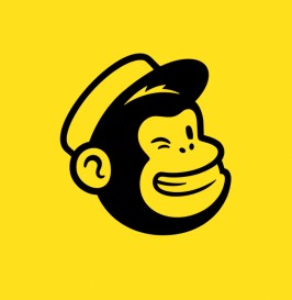 مستلزمات التسويق الالكتروني