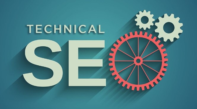 تعليم السيو seo من الصفر