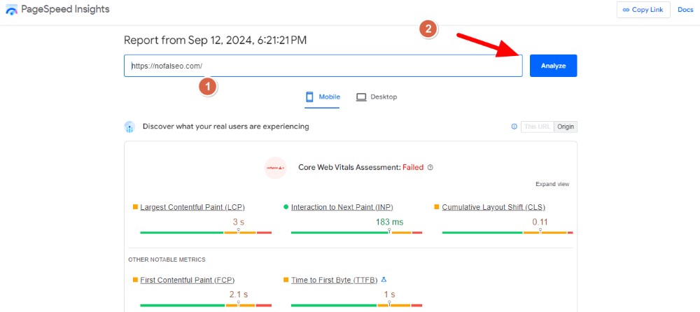 تقييم سرعة الموقع