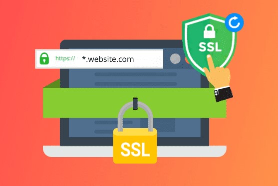 شهادة SSL