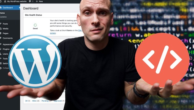 مواقع الووردبريس والبرمجة الخاصة