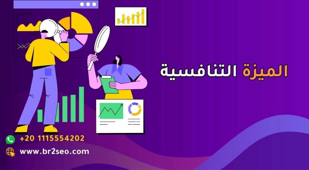 الميزة التنافسية