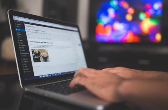 _انواع الويب سايت