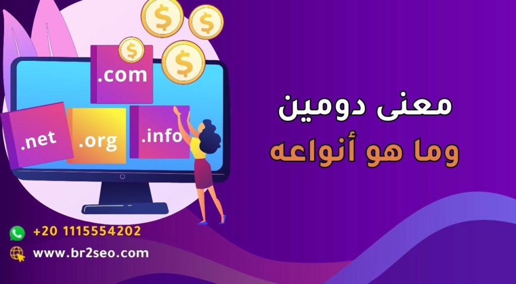 معنى دومين وما هو أنواعه