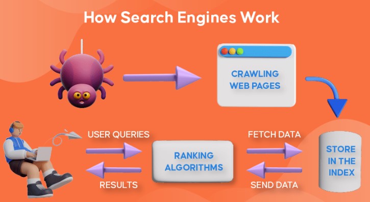 أهم المعايير لترتيب المواقع