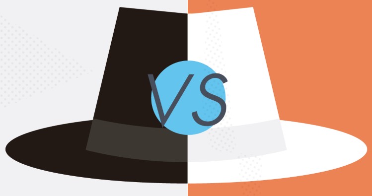 محركات البحث سيو