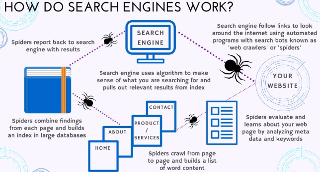 هل ما زال السيو مهما في 2025؟