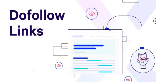 سيو خارجي وأنواعه