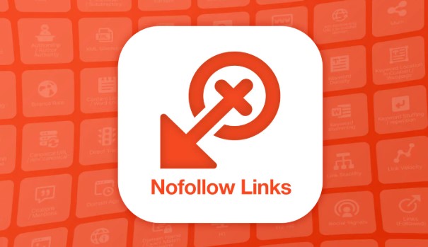 سيو خارجي وأنواعه