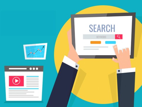 سيو خارجي وأنواعه