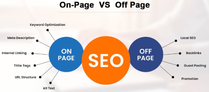 سيو خارجي وأنواعه