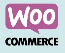 إنشاء موقع إلكتروني