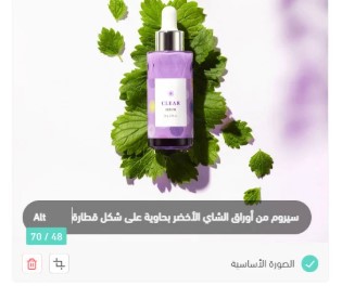 تحسين محركات البحث سلة