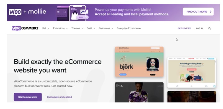 سكربت ادارة محتوى مجاني